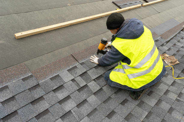 Best Solar Panel Roofing Installation  in Mccamey, TX